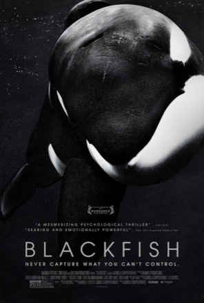 blackfish